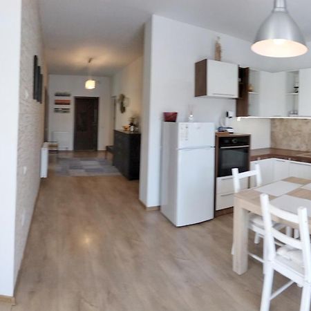 Apartament De Lux Cu Terasa Lejlighed Timişoara Eksteriør billede